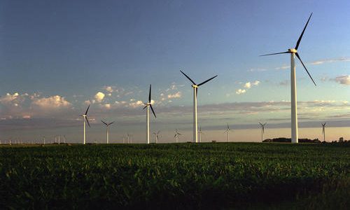 nastroj_filed_of_wind_turbines